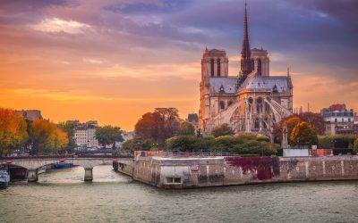 Paris face à l’invasion des félins : La capitale transformée en royaume des chats